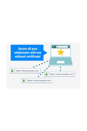 DV Wildcard SSL Certificate
