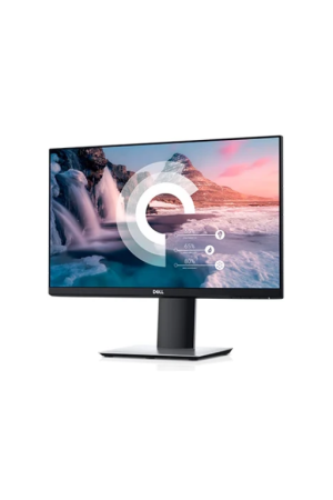 Dell P2219H