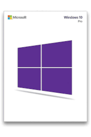 Microsoft Windows 10 Professional